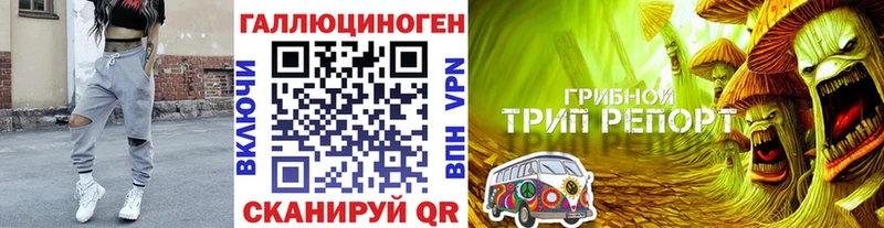где можно купить ОМГ ОМГ tor мориарти Telegram Мензелинск Псилоцибиновые грибы Psilocybine cubensis