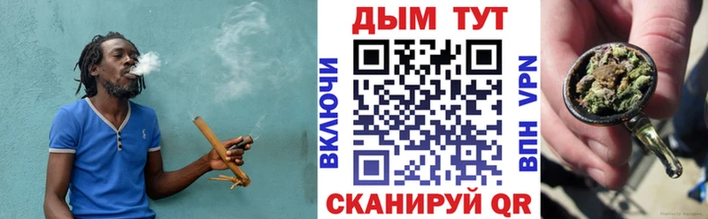 закладка  Мензелинск  Каннабис сатива 